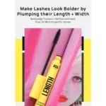 AOA Length Elongating Mascara – Black 1