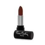 Pierre Cardin Matte Chiffon Touch Lipstick Brown Red 193 BD