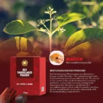 Rajkonna Red Sandalwood Powder 1